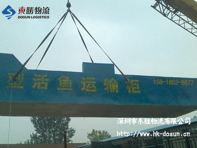 物流活體魚要注意哪些事項(xiàng)？該怎么運(yùn)輸？深圳到香港物流,香港深圳貨運(yùn)運(yùn)輸,深圳香港進(jìn)出口,深港物流專線,中港物流,東勝物流集團(tuán)-大件物流到香港