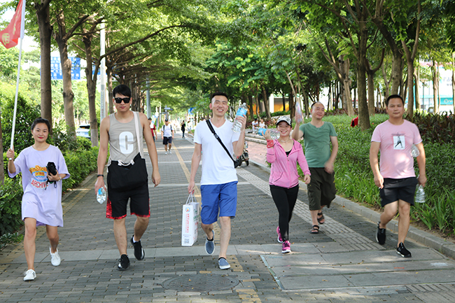 東勝物流戶外活動(dòng)--20公里徒步之旅；深圳到香港物流,香港物流專線,深圳香港進(jìn)出口,中港物流,香港深圳貨運(yùn)運(yùn)輸-深圳市東勝物流有限公司